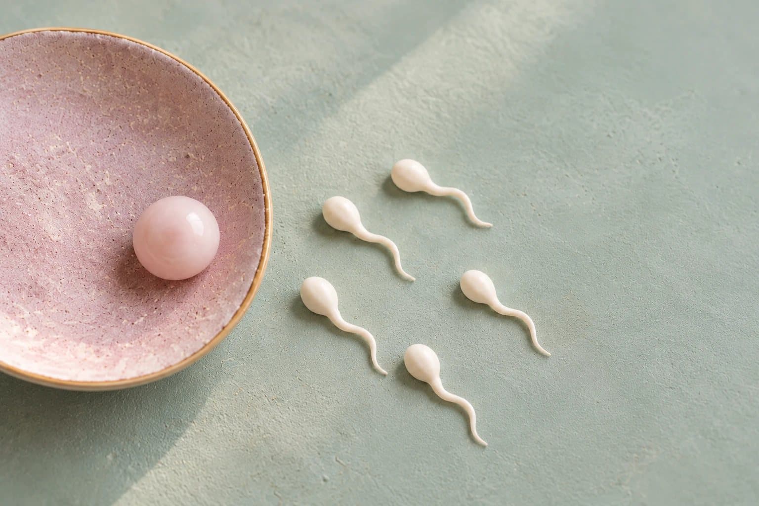 A pink ceramic bowl holding a rose quartz sphere, with small white sperm-shaped figures moving towards it.